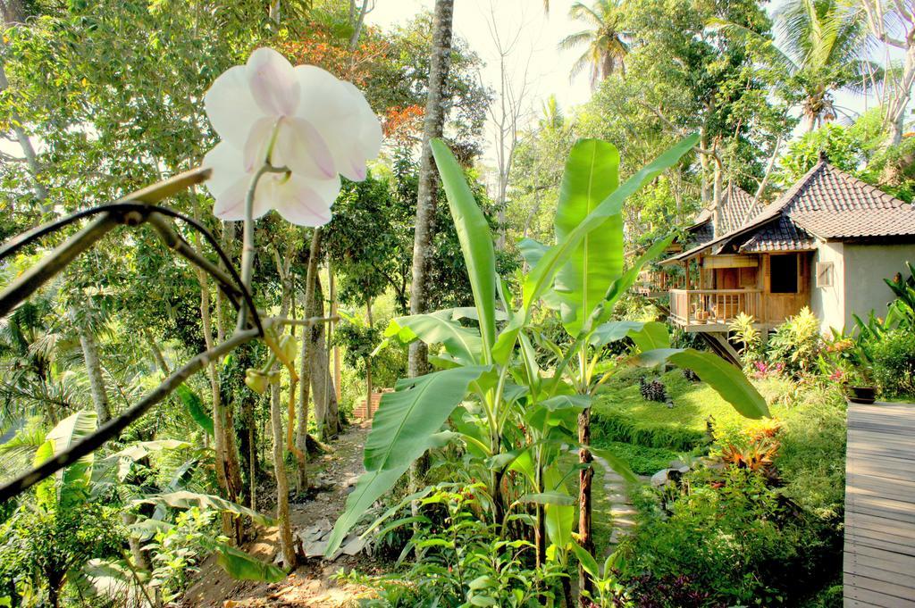 Prashanti Bali Ubud Extérieur photo
