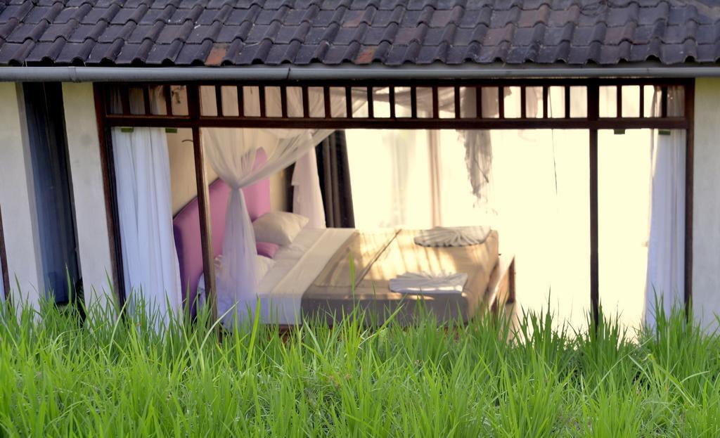 Prashanti Bali Ubud Chambre photo