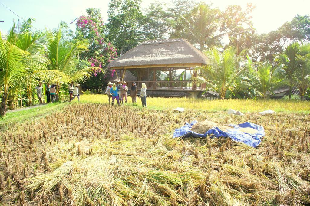 Prashanti Bali Ubud Extérieur photo