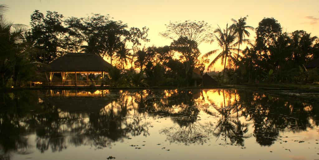 Prashanti Bali Ubud Extérieur photo