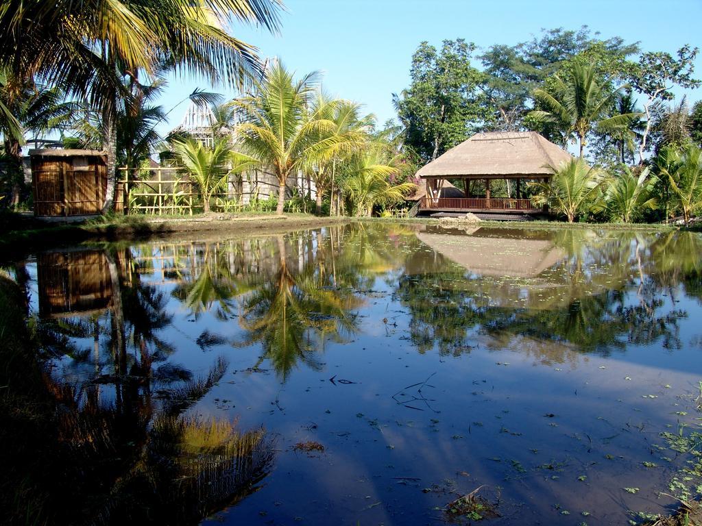 Prashanti Bali Ubud Extérieur photo